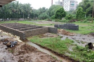 To make manure from cow dung, left earthworms on 10 tanks, use of 10 thousand kilograms of cow dung…. Purchased 1000 kg of cow dung everyday