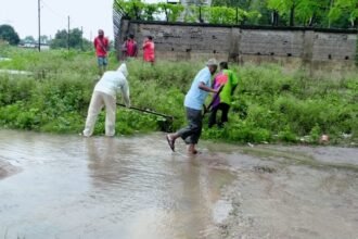 When corporation reached Amla, he breathed a sigh of relief