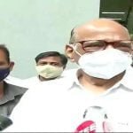 सुशांत राजपूत की मौत को तूल दिए जाने पर शरद पवार ने उठाए सवाल, बोले- यह बड़ा मुद्दा नहीं