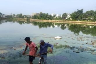 Immediately after the immersion of the idols