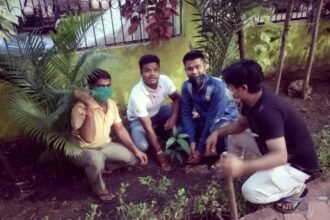 भाजयुमो ने पौधारोपण कर मनाया प्रधानमंत्री मोदी का जन्मदिन