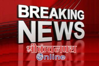 Employment cum skill fair for women will be organized on March 8 at