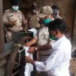 वन मंडल रायगढ़ में हफ्ता भर में एक आरा मिल तथा एक फर्नीचर मार्ट सील : वन विभाग का सघन अभियान निरंतर जारी