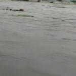 Skies in Telangana: Heavy rains have caused havoc… .. 15 deaths so far