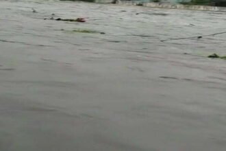 Skies in Telangana: Heavy rains have caused havoc… .. 15 deaths so far