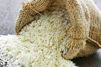 आयरन और विटामिन युक्त फोर्टिफाईड राईस