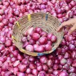 Central government's big decision on onion prices, fixed storage limit