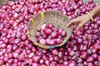 Central government's big decision on onion prices, fixed storage limit