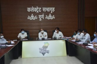 Revenue officers should be aware of illegal plotting