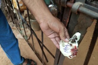 Operation of furniture shop in residential area