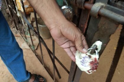 Operation of furniture shop in residential area