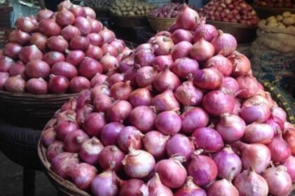 Onion availability and market price will be monitored…. Call these numbers if you sell at more than the fixed rate