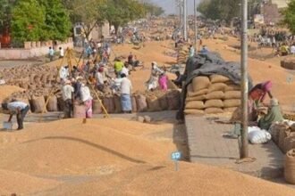 Registration of farmers will be done till November 10 to procure