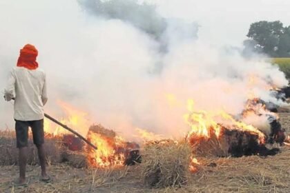 वायु प्रदूषण की मार झेलेगा उत्तर भारत और एनसीआर, पराली जलाने में हुआ पांच गुना इजाफा