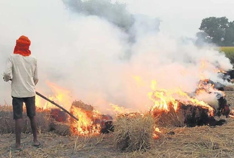 वायु प्रदूषण की मार झेलेगा उत्तर भारत और एनसीआर, पराली जलाने में हुआ पांच गुना इजाफा