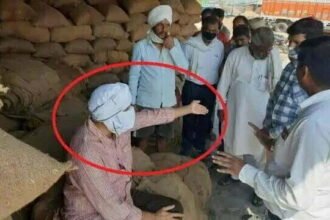 जब किसान बन गए डीएम, मुंह पर बांधा गमछा पहनी हवाई चप्पल और पहुंच गए मंडी