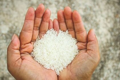फोर्टिफाईड राईस