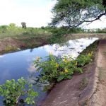 Breakage of canals will lead to renovation