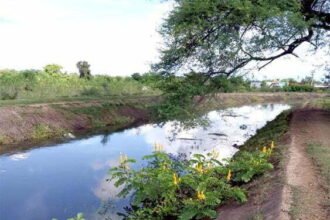 Breakage of canals will lead to renovation