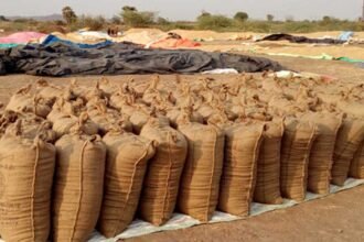 Registration of farmers for paddy purchase is now