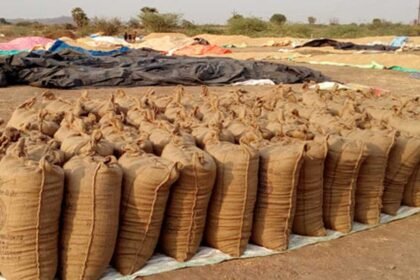 Registration of farmers for paddy purchase is now