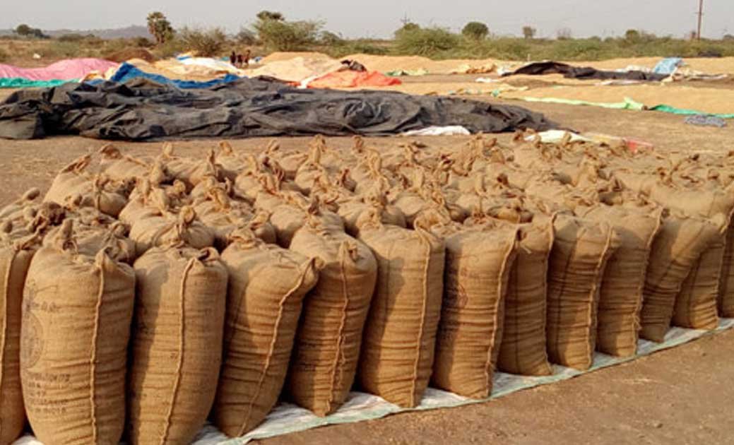 Registration of farmers for paddy purchase is now