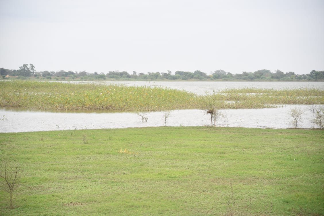the chief minister's village famous for migratory birds