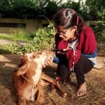 An Animal Savers Group made for the service of the unripe animals