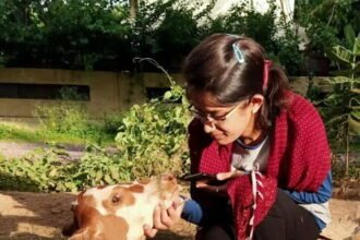 An Animal Savers Group made for the service of the unripe animals