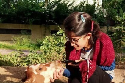 An Animal Savers Group made for the service of the unripe animals