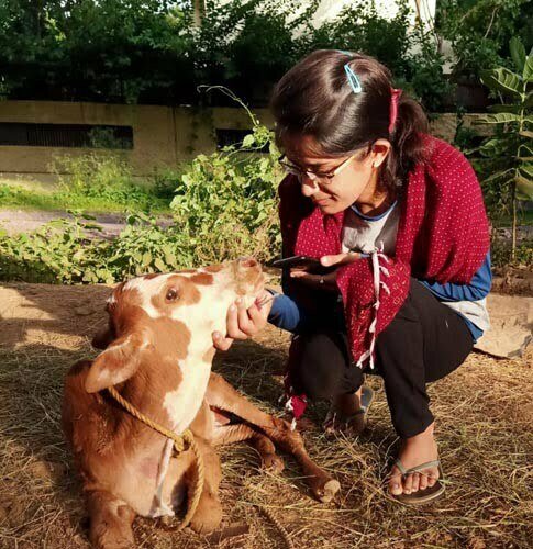 An Animal Savers Group made for the service of the unripe animals