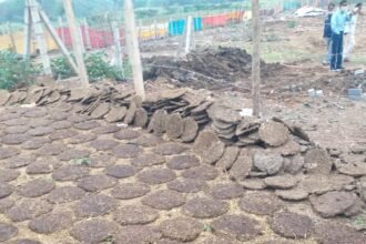 Income of millions by selling products made using only