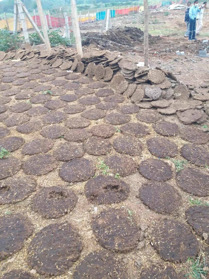 Income of millions by selling products made using only