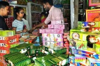 30 नवंबर तक पटाखों की बिक्री व जलाने पर एनजीटी ने लगाई रोक