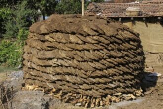 Commissioner reviews: Now with Go Kashtal, women will make