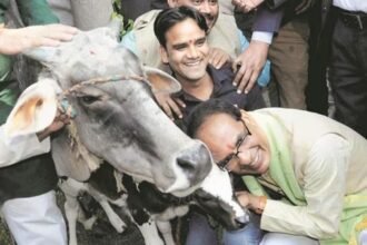 मध्यप्रदेश में ' गौ कैबिनेट ', गायों की सुरक्षा के लिए शिवराज सरकार का फैसला
