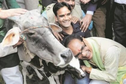 मध्यप्रदेश में ' गौ कैबिनेट ', गायों की सुरक्षा के लिए शिवराज सरकार का फैसला