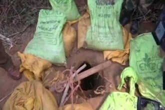 जिस सुरंग से भारत में घुसे थे आतंकी, उसमें 150 फीट अंदर पहुंचे बीएसएफ जवान, खुली पाक की पोल