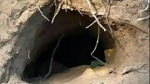 नगरोटा एनकाउंटर: 200 मीटर लंबी सुरंग के सहारे आतंकियों ने की थी भारत में घुसपैठ, जीपीएस की मदद से किया सीमा पार