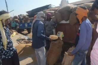 Till December 8, 10.85 lakh metric tonnes of paddy