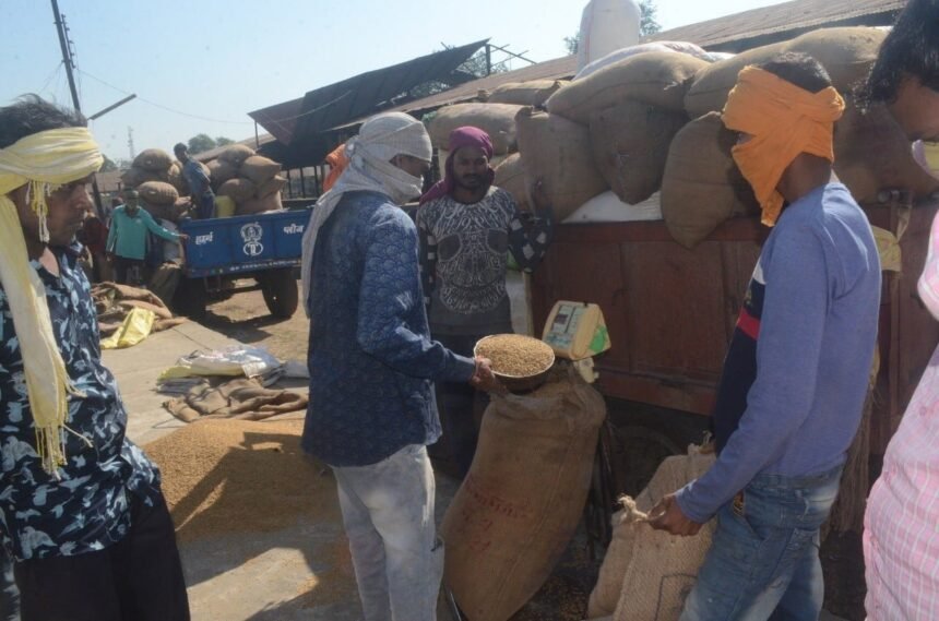Till December 8, 10.85 lakh metric tonnes of paddy