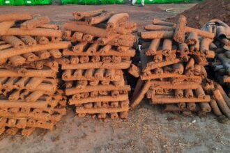 Now the eco-friendly bonfire at the square-intersections will