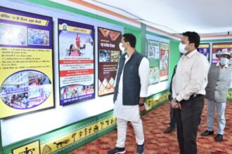 A glimpse of the development work seen in the exhibition at the Civic Center