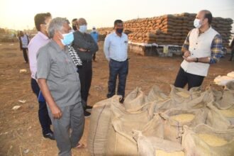 Collector reached paddy procurement centers