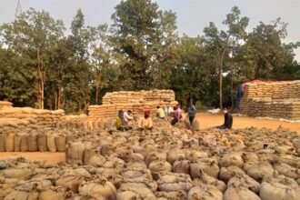 Paddy purchased negligently got spoiled: Collector issued notice to the