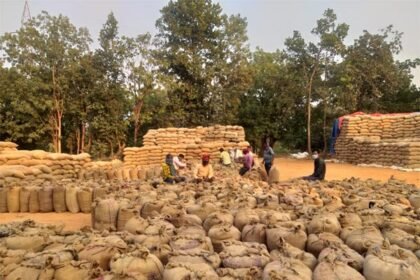 Paddy purchased negligently got spoiled: Collector issued notice to the