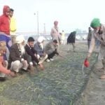 किसान आंदोलन: बुराड़ी मैदान में किसानों ने शुरू की प्याज की सांकेतिक खेती