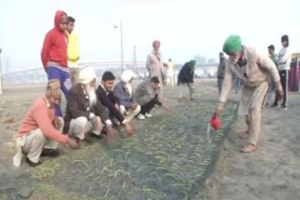 किसान आंदोलन: बुराड़ी मैदान में किसानों ने शुरू की प्याज की सांकेतिक खेती