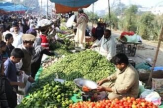 खस्ताहाल पाकिस्तान: महंगाई की मार, 30 रुपये में मिल रहा एक अंडा, अदरक, चीनी, गेहूं के भी रिकॉर्ड तोड़ दाम