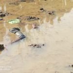 Tragic accident: Another tractor pulling the tractor stuck in the field